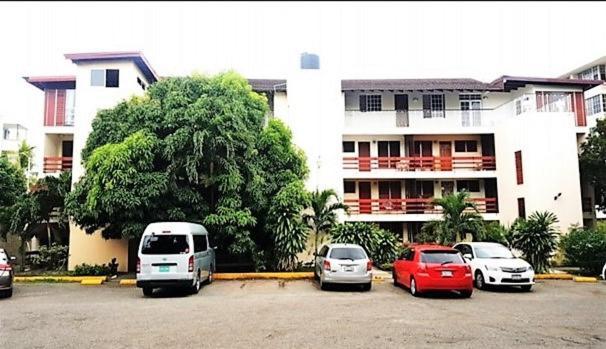 The Mango Lodge 金斯敦 外观 照片