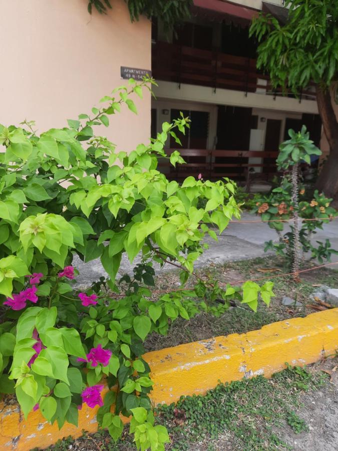 The Mango Lodge 金斯敦 外观 照片