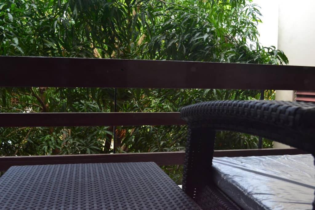 The Mango Lodge 金斯敦 外观 照片