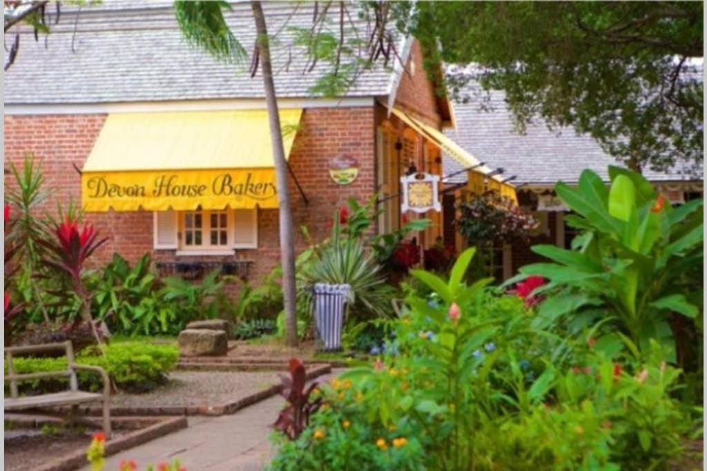 The Mango Lodge 金斯敦 外观 照片